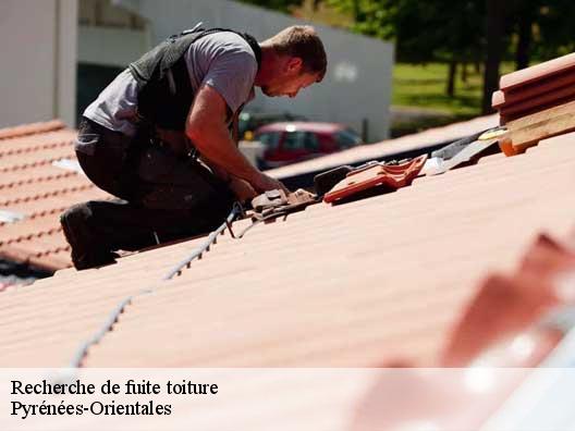 Recherche de fuite toiture Pyrénées-Orientales 