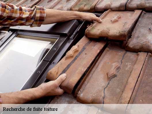 Recherche de fuite toiture